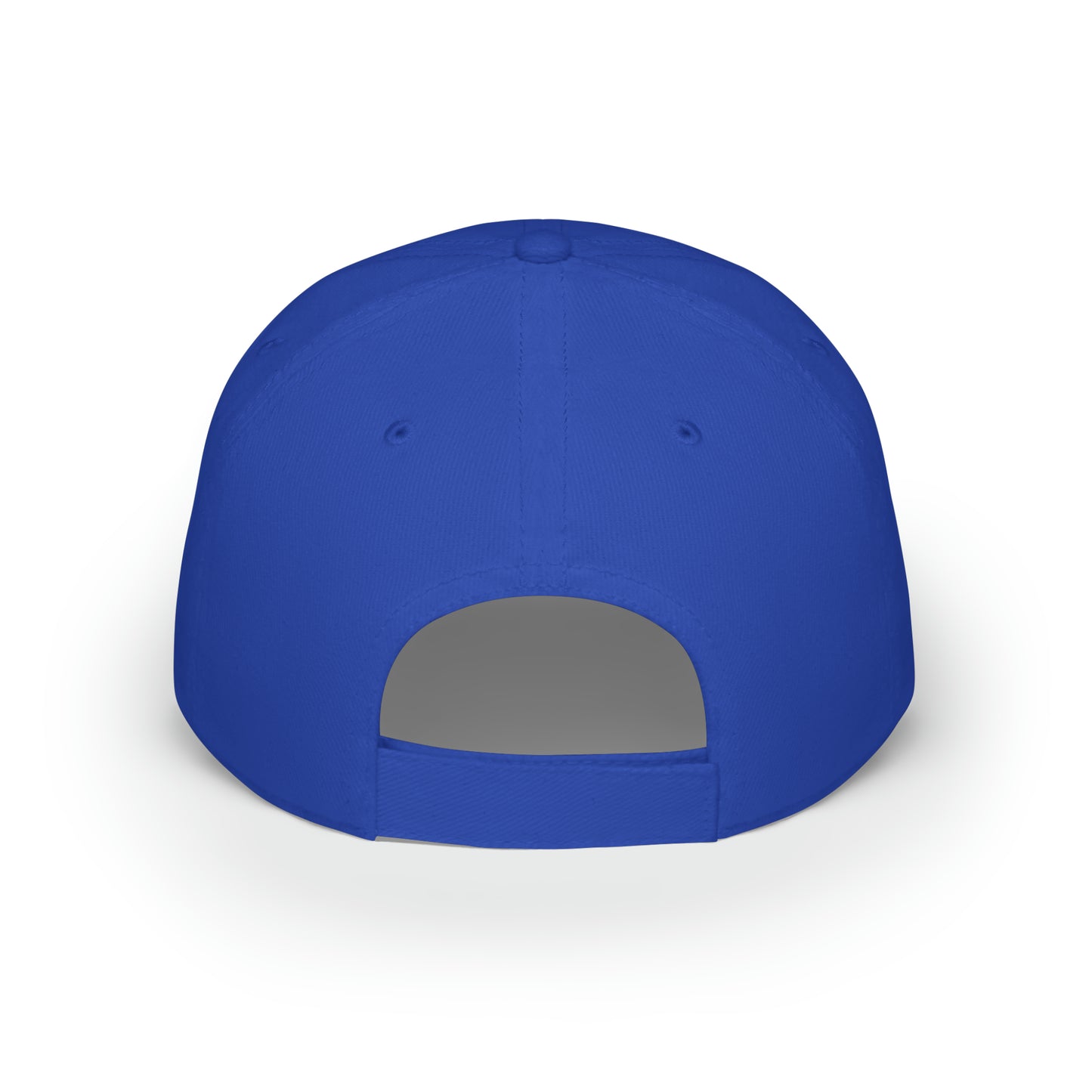 "Future Pharmacist" Low Profile Baseball Cap